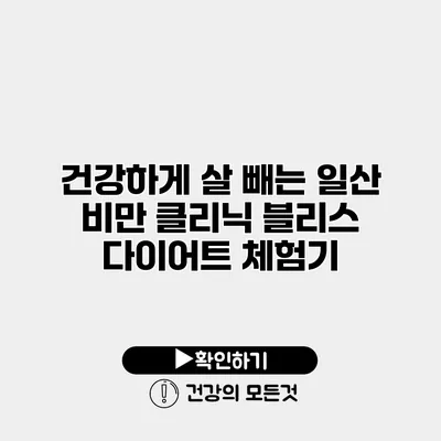 건강하게 살 빼는 일산 비만 클리닉 블리스 다이어트 체험기