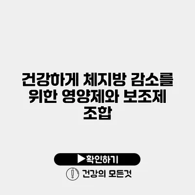 건강하게 체지방 감소를 위한 영양제와 보조제 조합