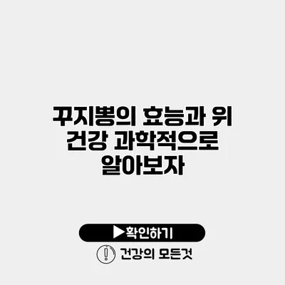 꾸지뽕의 효능과 위 건강 과학적으로 알아보자