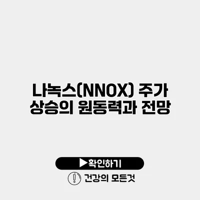 나녹스(NNOX) 주가 상승의 원동력과 전망