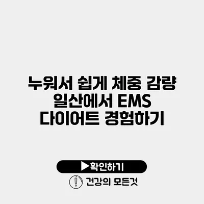 누워서 쉽게 체중 감량 일산에서 EMS 다이어트 경험하기