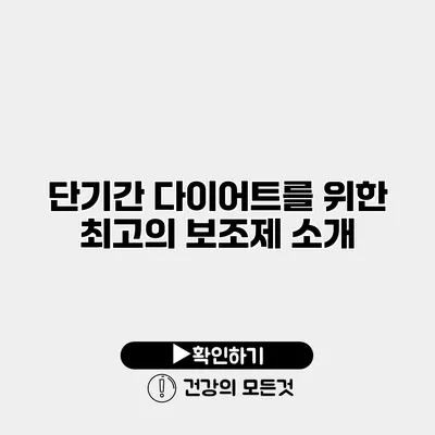 단기간 다이어트를 위한 최고의 보조제 소개