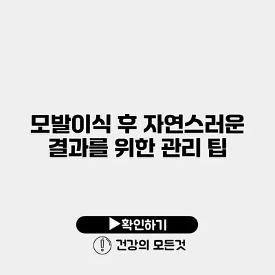 모발이식 후 자연스러운 결과를 위한 관리 팁