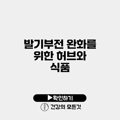 발기부전 완화를 위한 허브와 식품