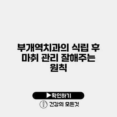 부개역치과의 식립 후 마취 관리 잘해주는 원칙