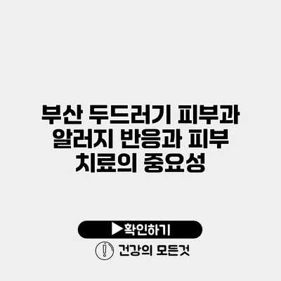 부산 두드러기 피부과 알러지 반응과 피부 치료의 중요성