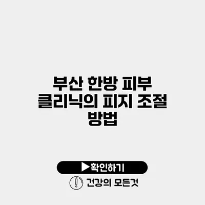 부산 한방 피부 클리닉의 피지 조절 방법