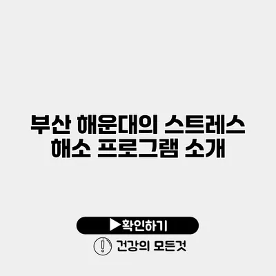 부산 해운대의 스트레스 해소 프로그램 소개