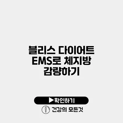 블리스 다이어트 EMS로 체지방 감량하기