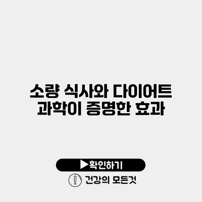 소량 식사와 다이어트 과학이 증명한 효과