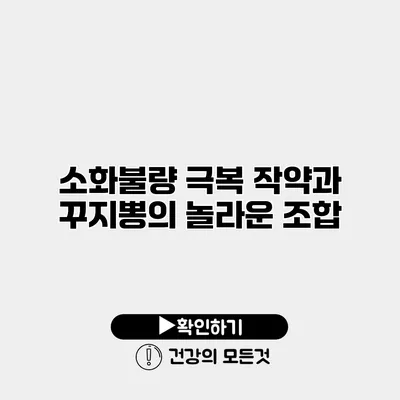 소화불량 극복 작약과 꾸지뽕의 놀라운 조합