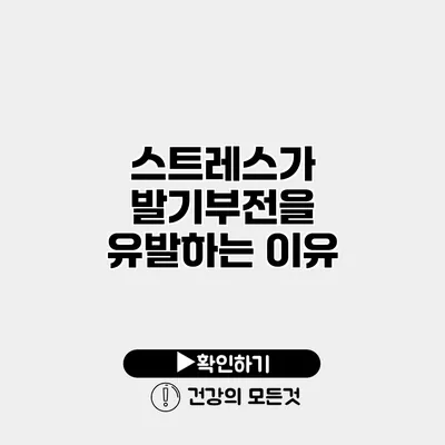스트레스가 발기부전을 유발하는 이유