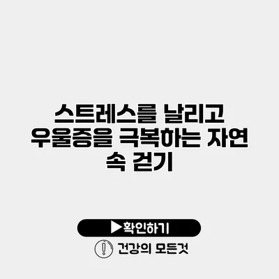 스트레스를 날리고 우울증을 극복하는 자연 속 걷기