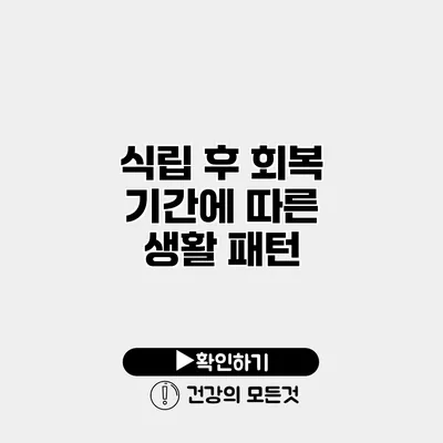 식립 후 회복 기간에 따른 생활 패턴