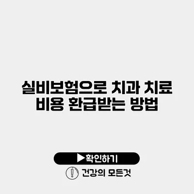 실비보험으로 치과 치료 비용 환급받는 방법