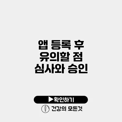앱 등록 후 유의할 점 심사와 승인