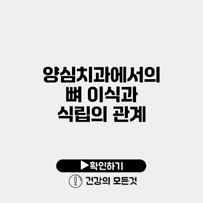 양심치과에서의 뼈 이식과 식립의 관계