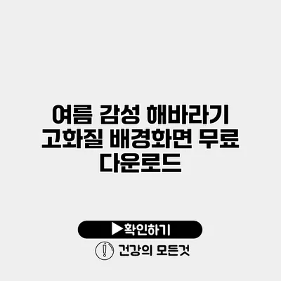 여름 감성 해바라기 고화질 배경화면 무료 다운로드