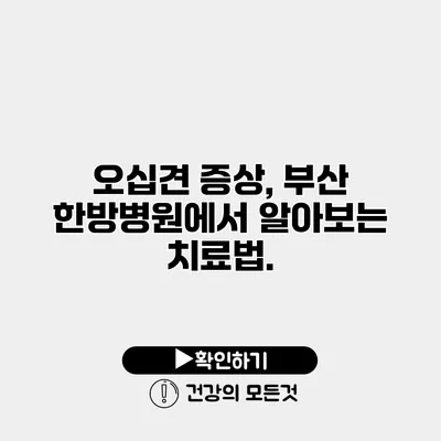 오십견 증상, 부산 한방병원에서 알아보는 치료법.