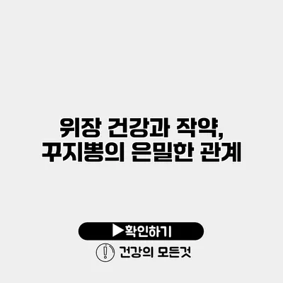 위장 건강과 작약, 꾸지뽕의 은밀한 관계