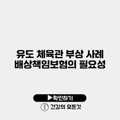 유도 체육관 부상 사례 배상책임보험의 필요성