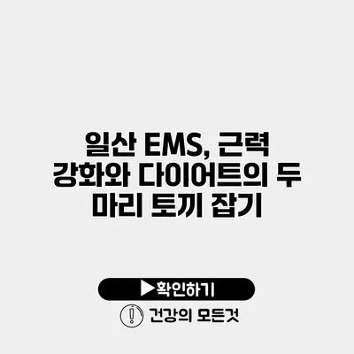 일산 EMS, 근력 강화와 다이어트의 두 마리 토끼 잡기