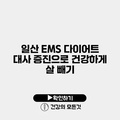 일산 EMS 다이어트 대사 증진으로 건강하게 살 빼기