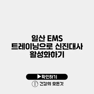 일산 EMS 트레이닝으로 신진대사 활성화하기