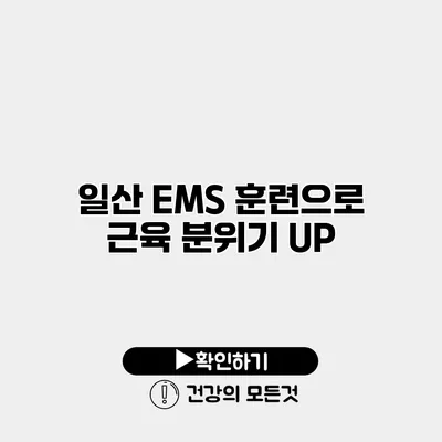 일산 EMS 훈련으로 근육 분위기 UP