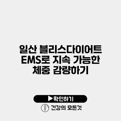 일산 블리스다이어트 EMS로 지속 가능한 체중 감량하기
