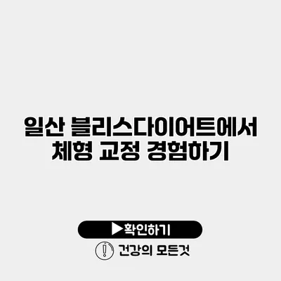 일산 블리스다이어트에서 체형 교정 경험하기