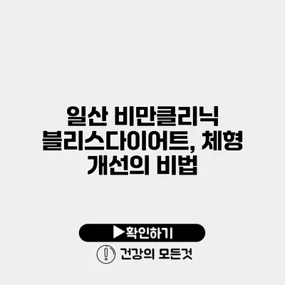일산 비만클리닉 블리스다이어트, 체형 개선의 비법