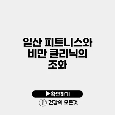 일산 피트니스와 비만 클리닉의 조화