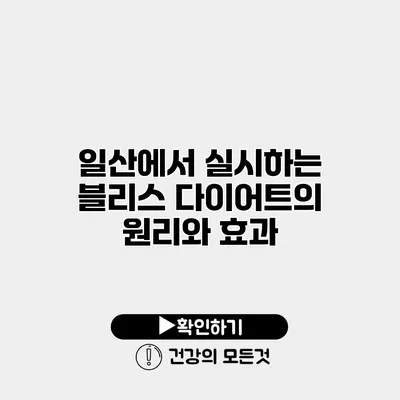 일산에서 실시하는 블리스 다이어트의 원리와 효과