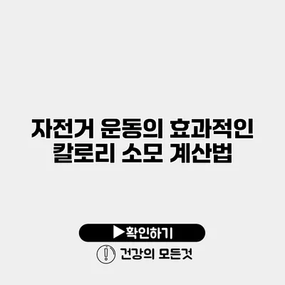 자전거 운동의 효과적인 칼로리 소모 계산법