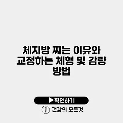 체지방 찌는 이유와 교정하는 체형 및 감량 방법