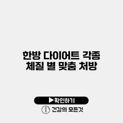 한방 다이어트 각종 체질 별 맞춤 처방
