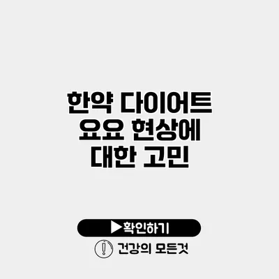 한약 다이어트 요요 현상에 대한 고민