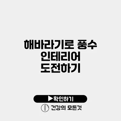 해바라기로 풍수 인테리어 도전하기