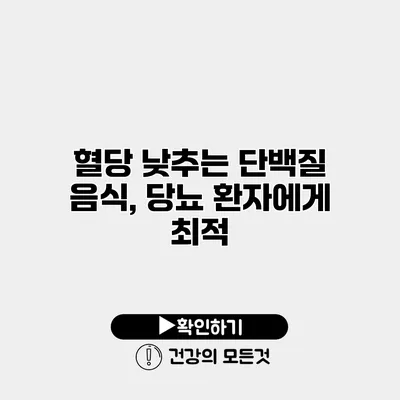 혈당 낮추는 단백질 음식, 당뇨 환자에게 최적