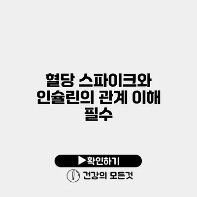 혈당 스파이크와 인슐린의 관계 이해 필수