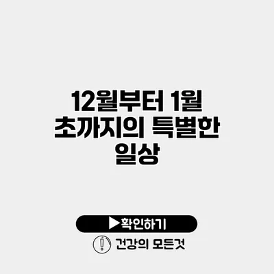 12월부터 1월 초까지의 특별한 일상
