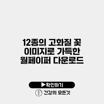 12종의 고화질 꽃 이미지로 가득한 월페이퍼 다운로드