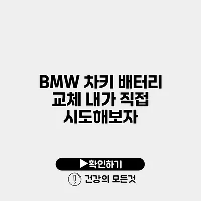 BMW 차키 배터리 교체 내가 직접 시도해보자