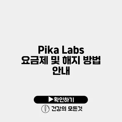Pika Labs 요금제 및 해지 방법 안내