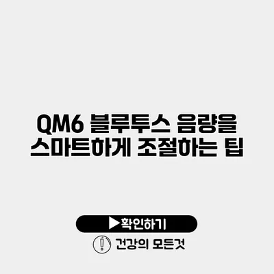 QM6 블루투스 음량을 스마트하게 조절하는 팁