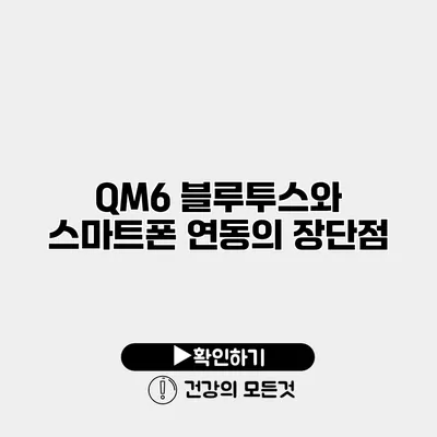 QM6 블루투스와 스마트폰 연동의 장단점