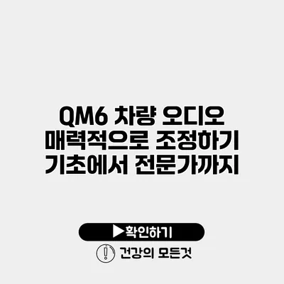 QM6 차량 오디오 매력적으로 조정하기 기초에서 전문가까지