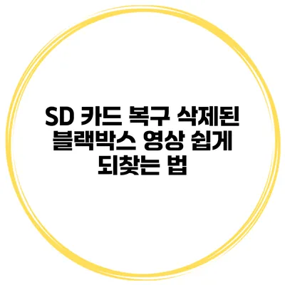 SD 카드 복구 삭제된 블랙박스 영상 쉽게 되찾는 법