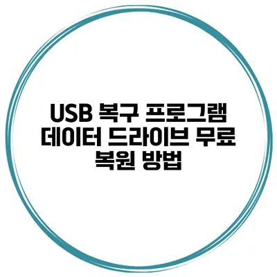 USB 복구 프로그램 데이터 드라이브 무료 복원 방법